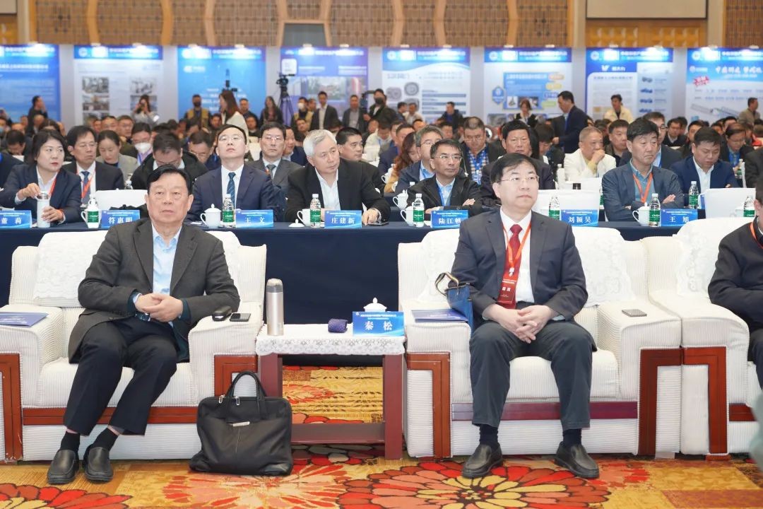 1680443150481555.jpg 1680443150481555.jpg